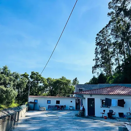 Hostel Japji Esmeriz